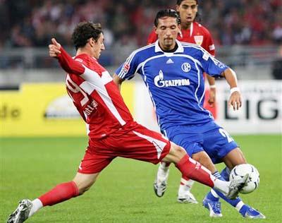 动作分为蝶 动作分为蝶